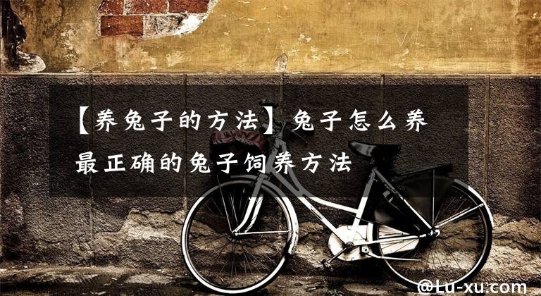 【养兔子的方法】兔子怎么养 最正确的兔子饲养方法