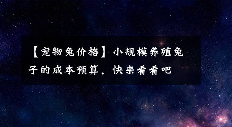 【宠物兔价格】小规模养殖兔子的成本预算，快来看看吧