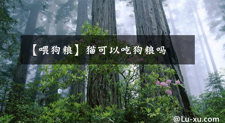【喂狗粮】猫可以吃狗粮吗