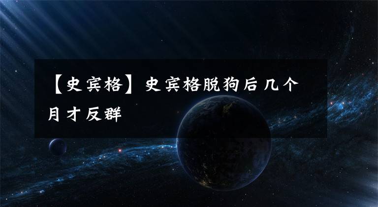 【史宾格】史宾格脱狗后几个月才反群