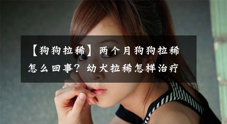 【狗狗拉稀】两个月狗狗拉稀怎么回事？幼犬拉稀怎样治疗好得快？