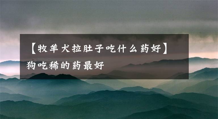 【牧羊犬拉肚子吃什么药好】狗吃稀的药最好