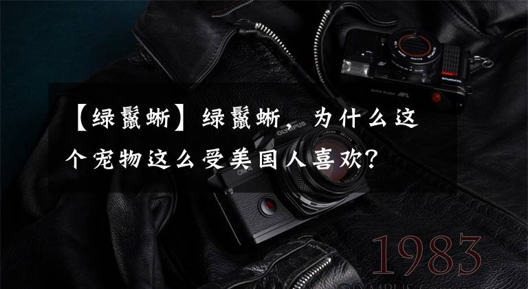 【绿鬣蜥】绿鬣蜥，为什么这个宠物这么受美国人喜欢？