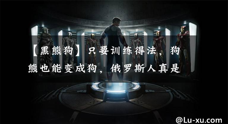 【黑熊狗】只要训练得法,狗熊也能变成狗,俄罗斯人真是训熊有方,逗翻了