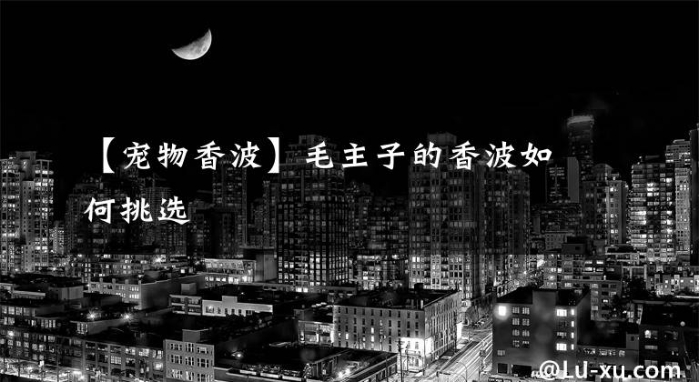【宠物香波】毛主子的香波如何挑选