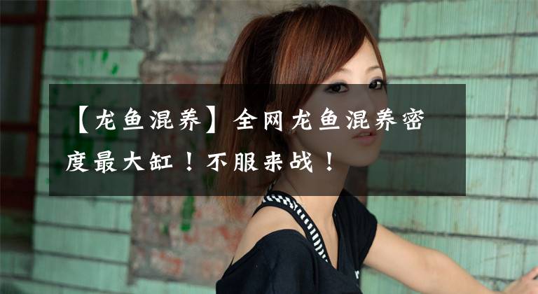 【龙鱼混养】全网龙鱼混养密度最大缸！不服来战！