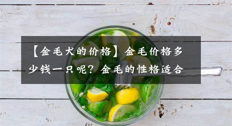 【金毛犬的价格】金毛价格多少钱一只呢？金毛的性格适合家养吗？