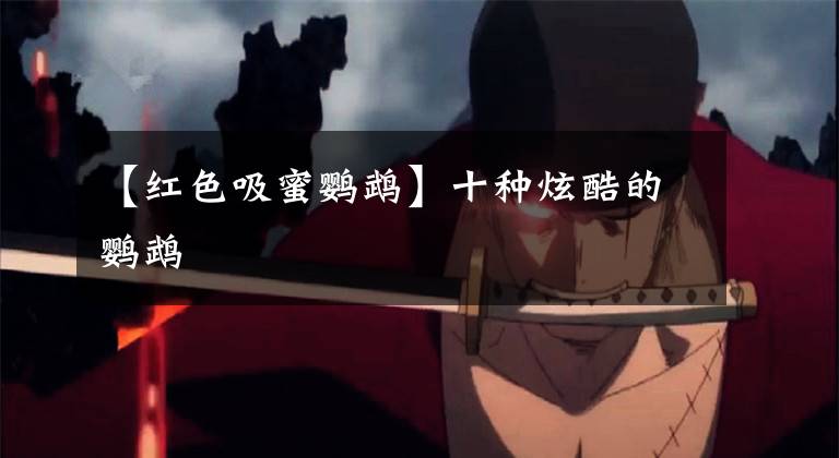 【红色吸蜜鹦鹉】十种炫酷的鹦鹉