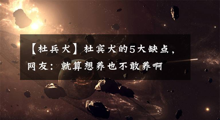 【杜兵犬】杜宾犬的5大缺点，网友：就算想养也不敢养啊