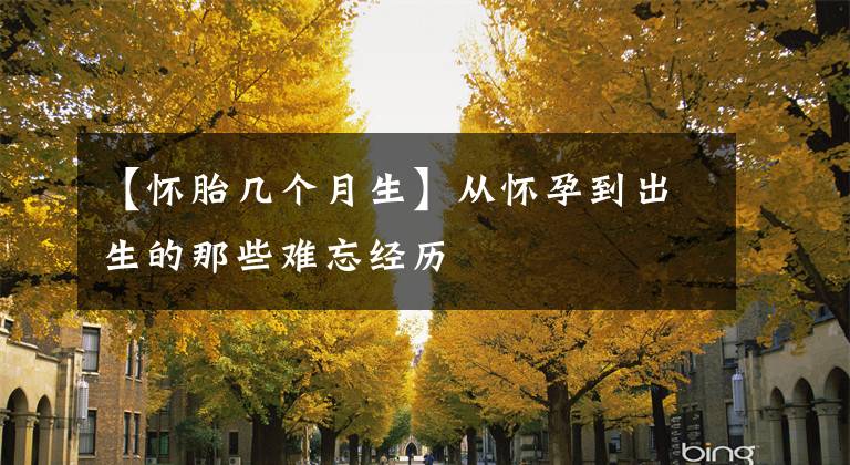 【怀胎几个月生】从怀孕到出生的那些难忘经历