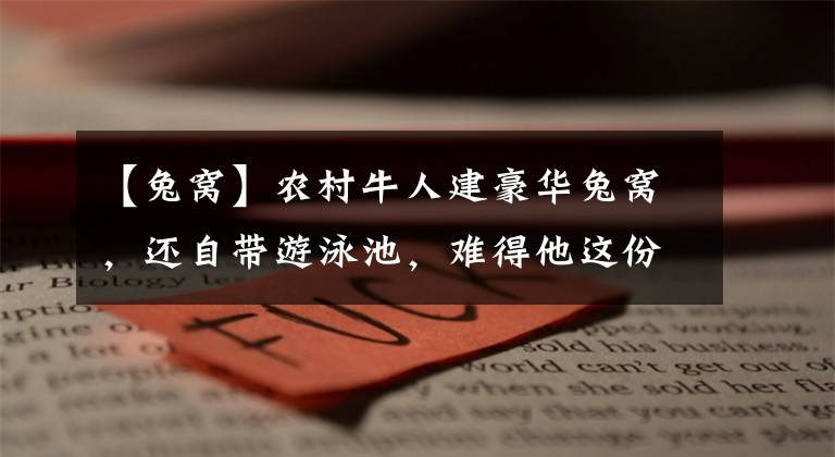 【兔窝】农村牛人建豪华兔窝,还自带游泳池,难得他这份爱心