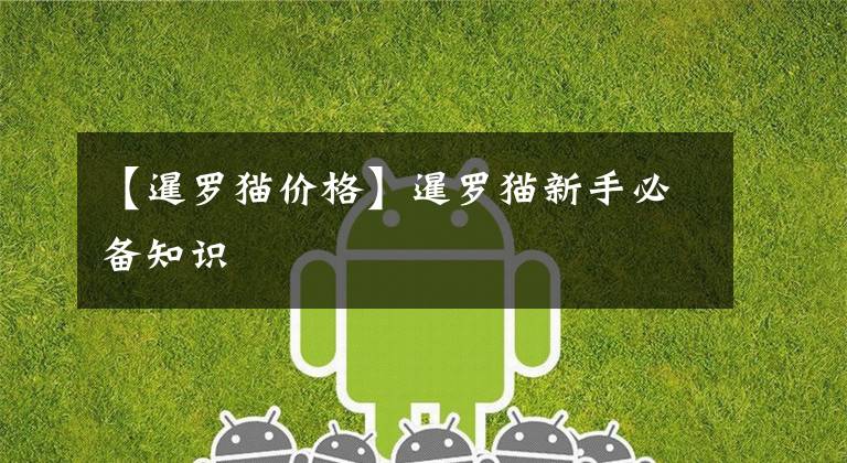 【暹罗猫价格】暹罗猫新手必备知识