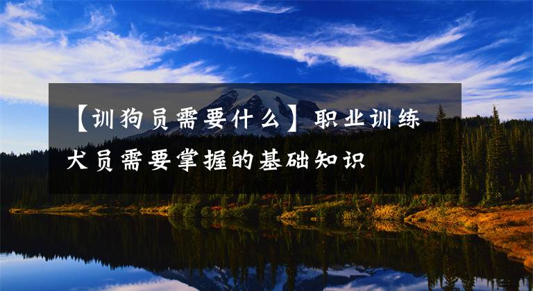 【训狗员需要什么】职业训练犬员需要掌握的基础知识