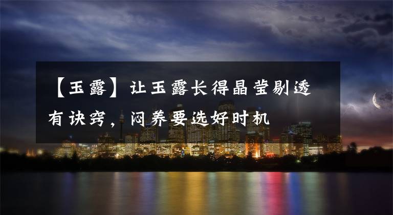 【玉露】让玉露长得晶莹剔透有诀窍，闷养要选好时机