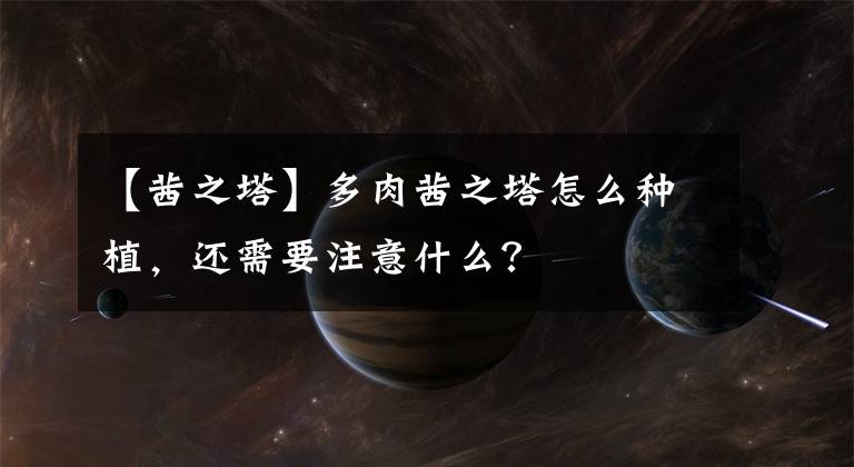 【茜之塔】多肉茜之塔怎么种植，还需要注意什么？