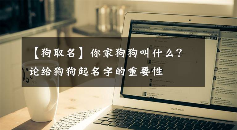 【狗取名】你家狗狗叫什么?论给狗狗起名字的重要性