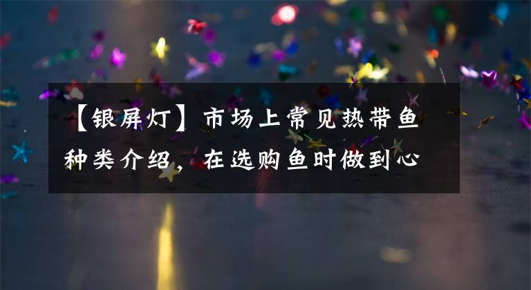 【银屏灯】市场上常见热带鱼种类介绍，在选购鱼时做到心中有数。