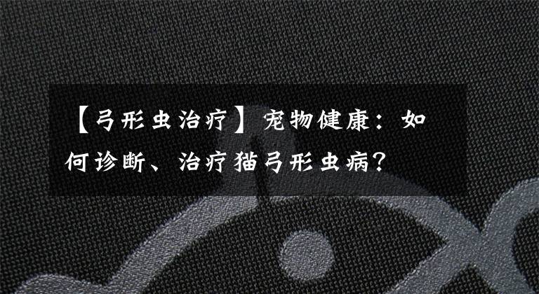 【弓形虫治疗】宠物健康:如何诊断、治疗猫弓形虫病?