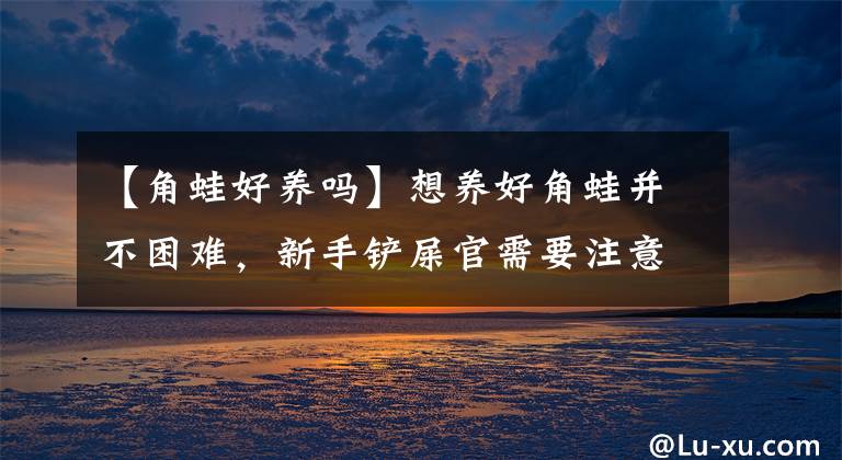 【角蛙好养吗】想养好角蛙并不困难，新手铲屎官需要注意这四个方面的问题