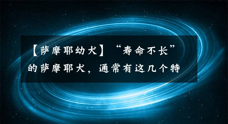 【萨摩耶幼犬】“寿命不长”的萨摩耶犬,通常有这几个特点,你家狗有吗?