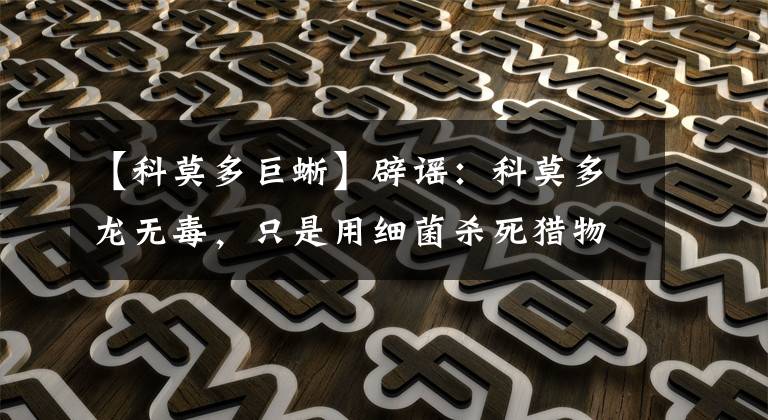 【科莫多巨蜥】辟谣:科莫多龙无毒,只是用细菌杀死猎物?研究发现它有毒腺