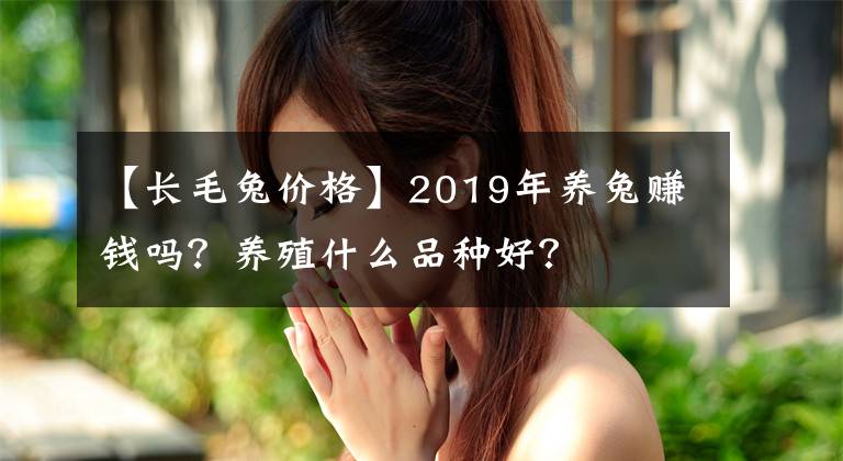 【长毛兔价格】2019年养兔赚钱吗?养殖什么品种好?