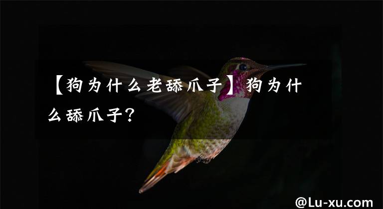 【狗为什么老舔爪子】狗为什么舔爪子?