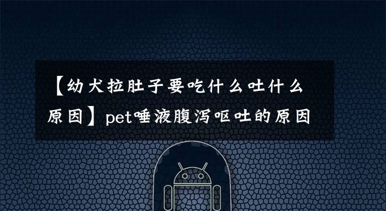 【幼犬拉肚子要吃什么吐什么原因】pet唾液腹泻呕吐的原因及预防