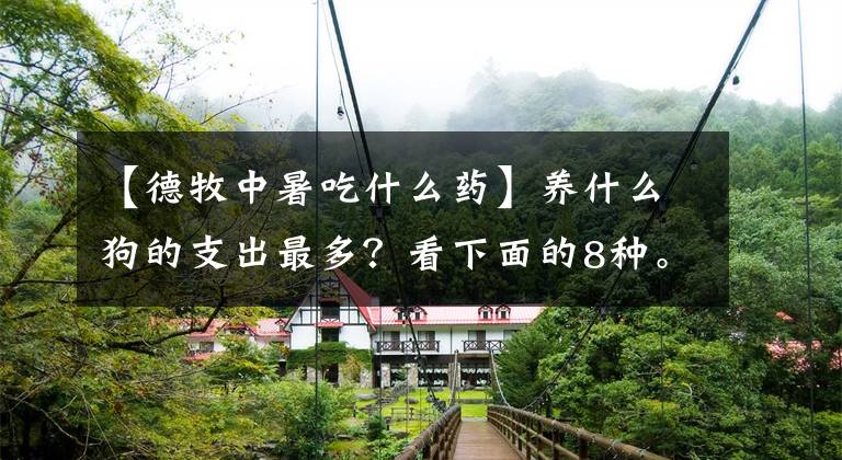 【德牧中暑吃什么药】养什么狗的支出最多？看下面的8种。你家的狗在这里吗？