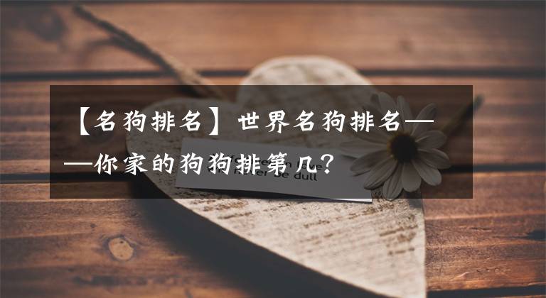 【名狗排名】世界名狗排名——你家的狗狗排第几？