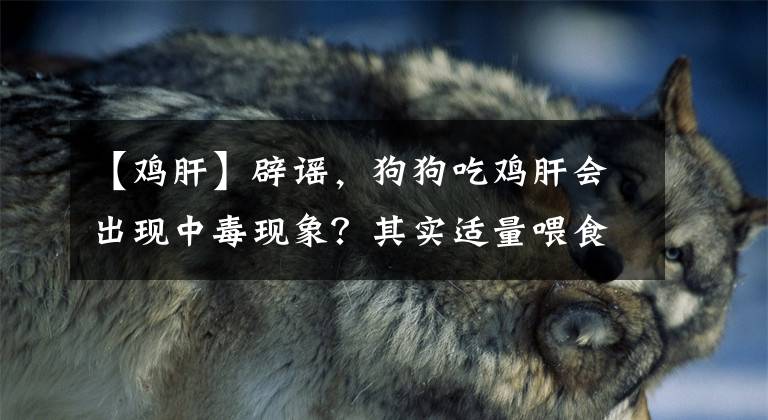 【鸡肝】辟谣，狗狗吃鸡肝会出现中毒现象？其实适量喂食只会提高爱犬体质