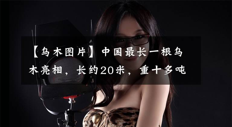 【乌木图片】中国最长一根乌木亮相，长约20米，重十多吨，价值千万