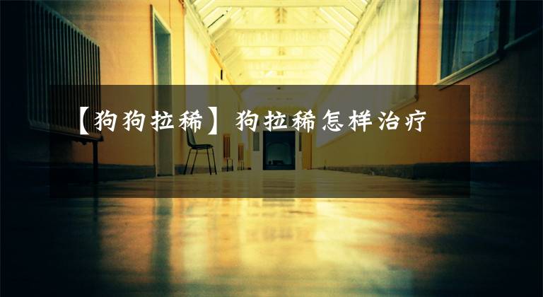 【狗狗拉稀】狗拉稀怎样治疗