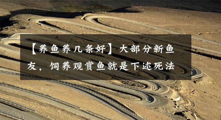 【养鱼养几条好】大部分新鱼友，饲养观赏鱼就是下述死法，买多少死多少