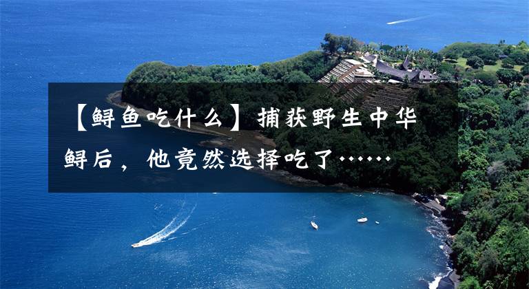 【鲟鱼吃什么】捕获野生中华鲟后，他竟然选择吃了……
