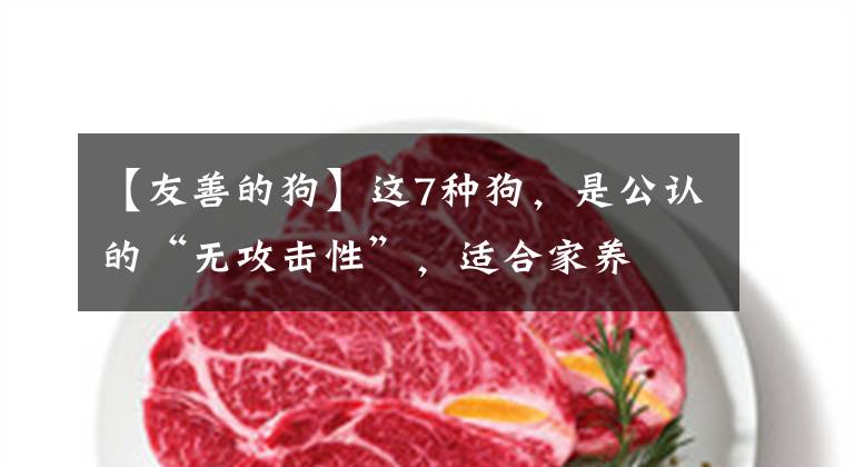 【友善的狗】这7种狗，是公认的“无攻击性”，适合家养