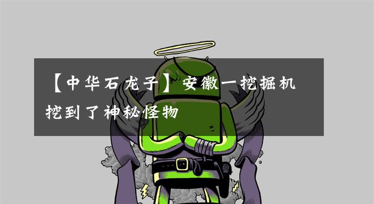 【中华石龙子】安徽一挖掘机挖到了神秘怪物