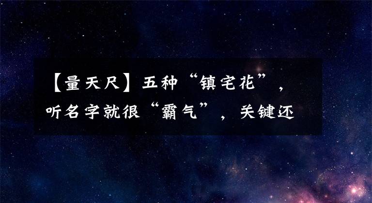 【量天尺】五种“镇宅花”，听名字就很“霸气”，关键还好养