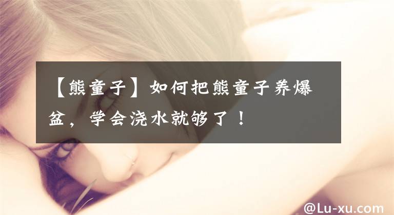 【熊童子】如何把熊童子养爆盆,学会浇水就够了!