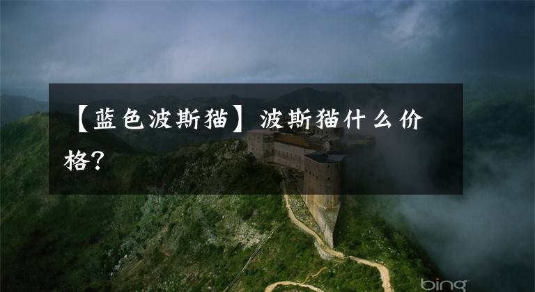 【蓝色波斯猫】波斯猫什么价格？