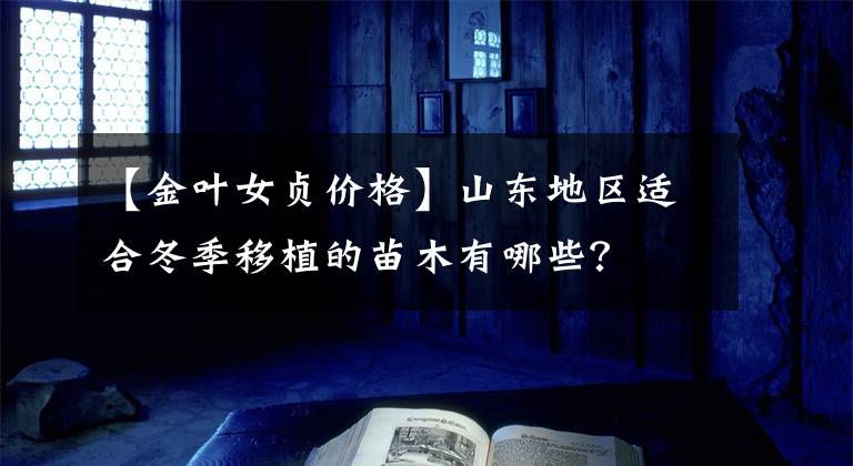【金叶女贞价格】山东地区适合冬季移植的苗木有哪些?