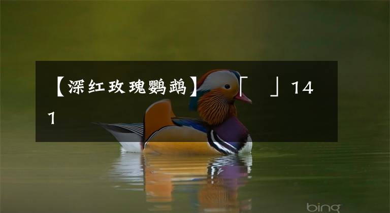 【深红玫瑰鹦鹉】䜌「鸞」141