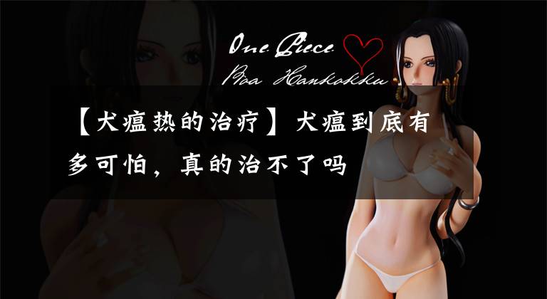 【犬瘟热的治疗】犬瘟到底有多可怕,真的治不了吗