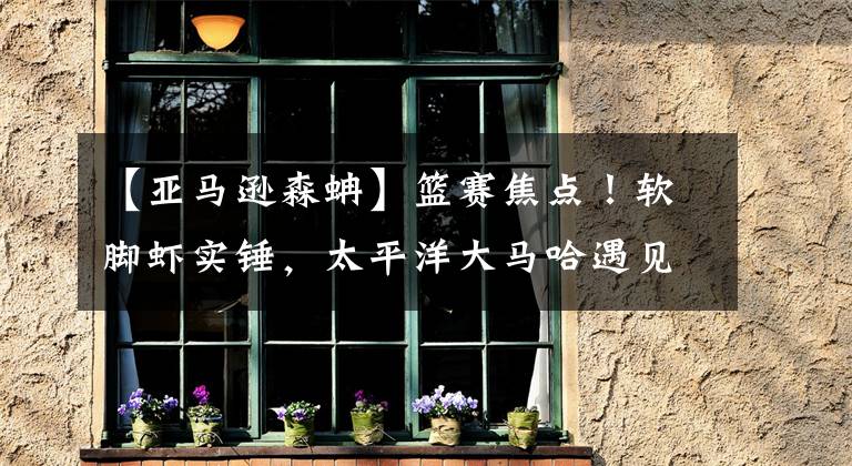 【亚马逊森蚺】篮赛焦点!软脚虾实锤,太平洋大马哈遇见亚马逊森蚺,彻底迷失