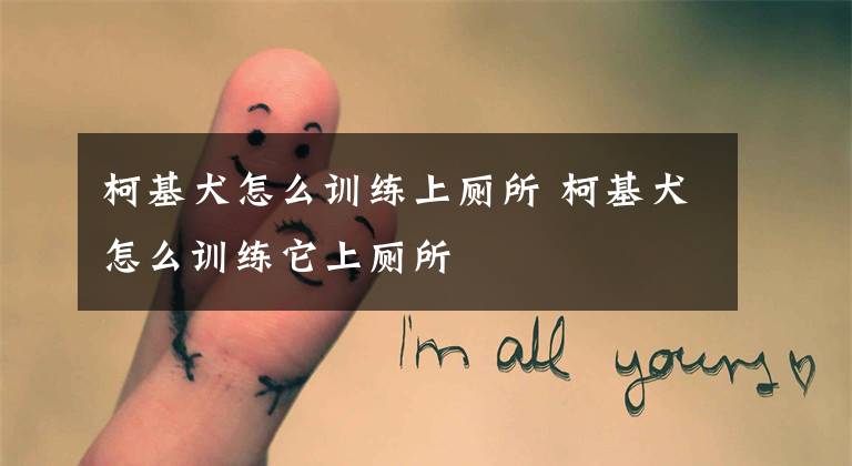 柯基犬怎么训练上厕所 柯基犬怎么训练它上厕所