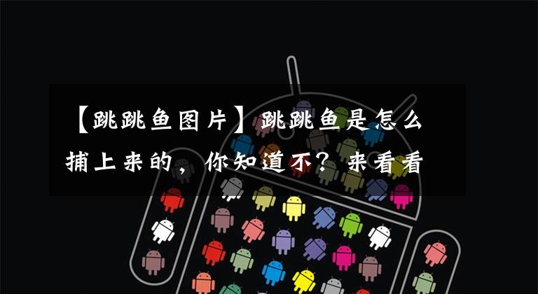 【跳跳鱼图片】跳跳鱼是怎么捕上来的，你知道不？来看看