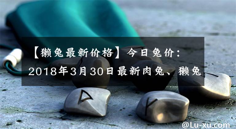 【獭兔最新价格】今日兔价：2018年3月30日最新肉兔、獭兔、兔毛价格行情