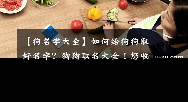 【狗名字大全】如何给狗狗取好名字？狗狗取名大全！怒收藏