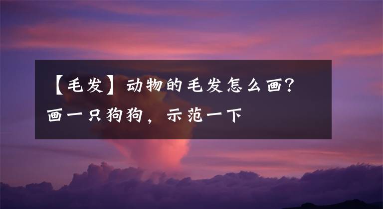 【毛发】动物的毛发怎么画？画一只狗狗，示范一下