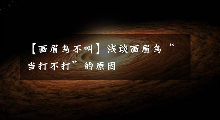 【画眉鸟不叫】浅谈画眉鸟“当打不打”的原因